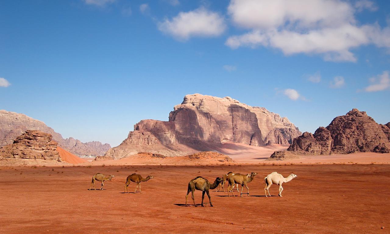 Wadi Rum Moon Light Camp Luaran gambar
