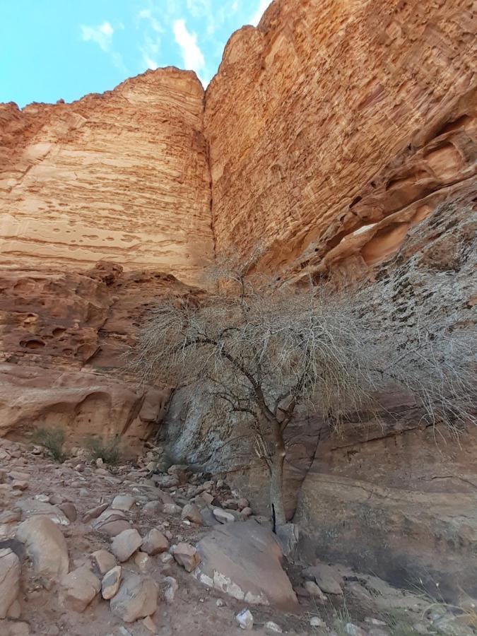 Wadi Rum Moon Light Camp Luaran gambar